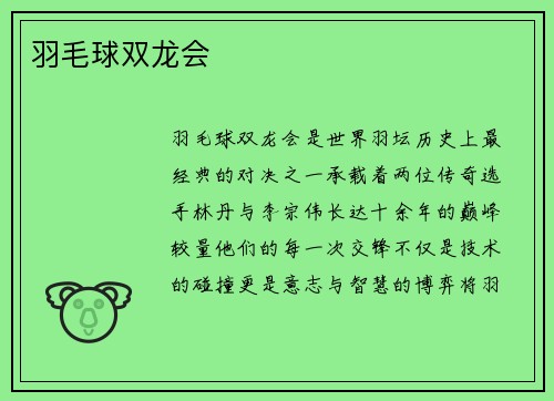 羽毛球双龙会